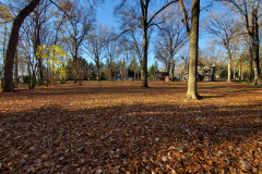 20201111_090453