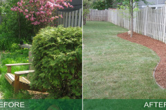 backyard-clean-up-before-after