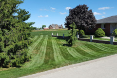 Chadds-work-pics-036