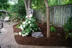 DSC01399