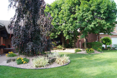 DSC01362